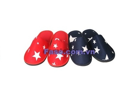 dep vai di trong nha hinh sao mau xanh mau do